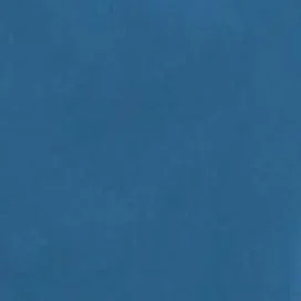 Caribbean Blue